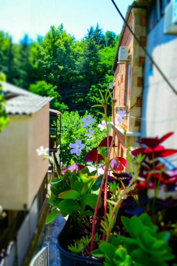 A.G'S Guest House Kutaisi Bagian luar foto